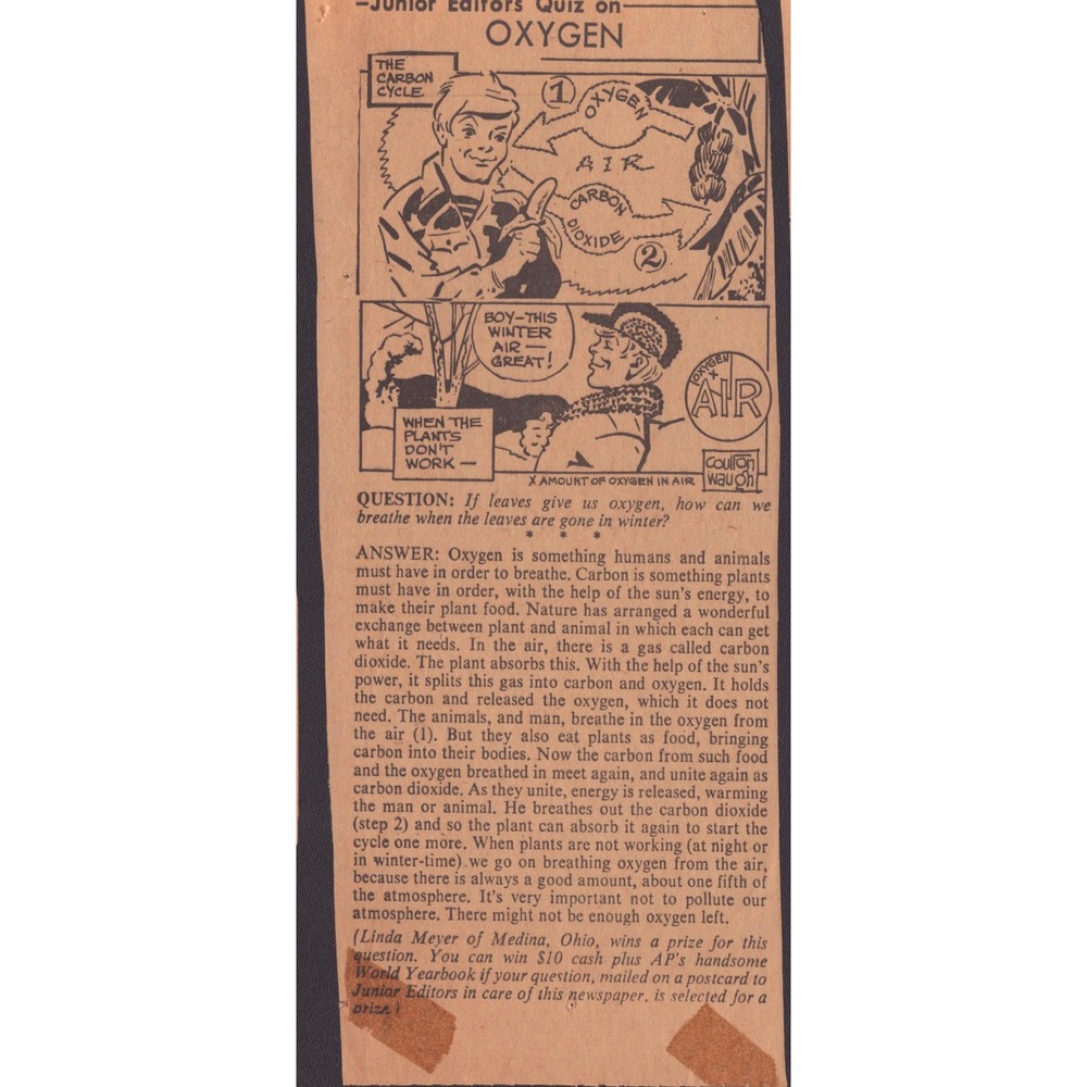 12 Vintage Junior Editors Quiz Newspaper Clippings Science Nature Ephemera Lot - Picture 4 of 14